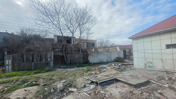 Bakının bu ərazisindəki yaşıllıqların köçürülməsinə rəy verilməsi məsələsinə baxılır