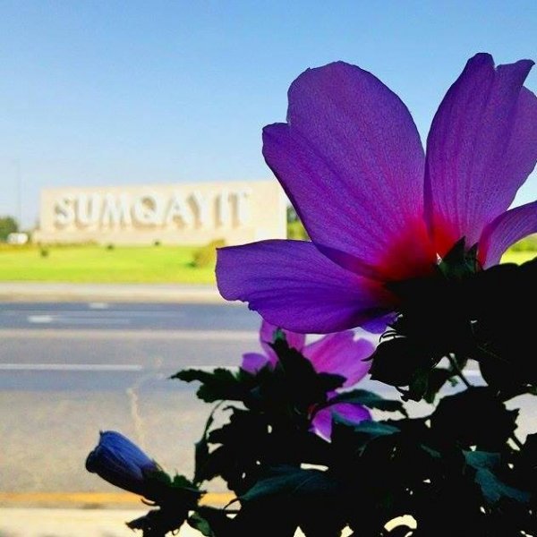 Sumqayıtda biznes qurmaq üçün 10+ səbəb – İş adamlarına maraqlı hansı yeni ideyalar var? Sumqayıtda biznes qurmaq üçün 10+ səbəb – İş adamlarına maraqlı hansı yeni ideyalar var?