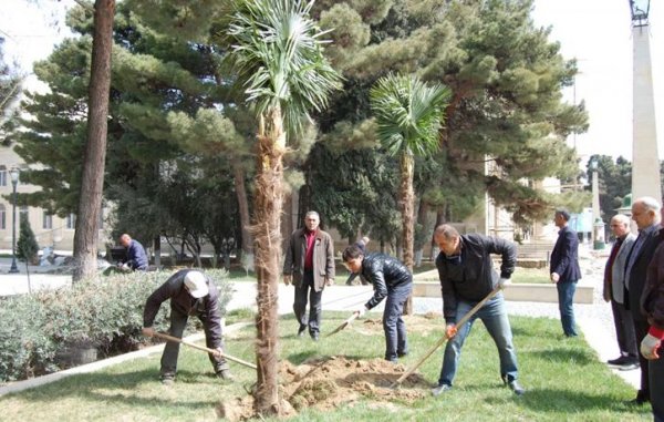 Sumqayıt Bələdiyyəsi şəhər üçün nə iş görüb?
