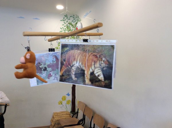 Sumqayıtda həsəd aparılan sinif, xalça üzərində dərs... - REPORTAJ (FOTOLAR) Sumqayıtda həsəd aparılan sinif, xalça üzərində dərs... - REPORTAJ (FOTOLAR)