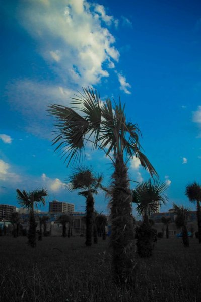 Sumqayıtı hələ belə görməmişdiniz –FOTOLAR
