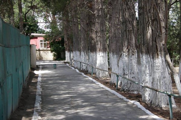 Sumqayıtın Hacı Zeynalabdin qəsəbəsindən FOTOREPORTAJ