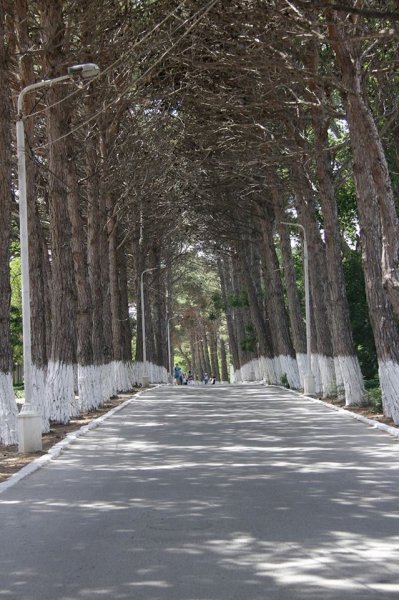 Sumqayıtın Hacı Zeynalabdin qəsəbəsindən FOTOREPORTAJ