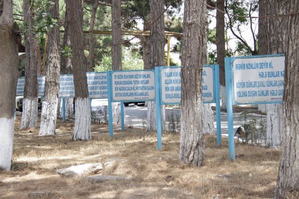 Sumqayıtın Hacı Zeynalabdin qəsəbəsindən FOTOREPORTAJ