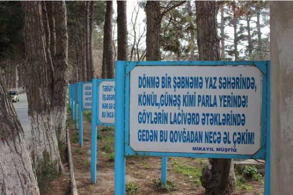Sumqayıtın Hacı Zeynalabdin qəsəbəsindən FOTOREPORTAJ