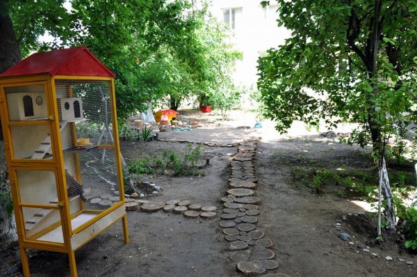 Sumqayıtda "Canlı guşə"dən FOTOREPORTAJ