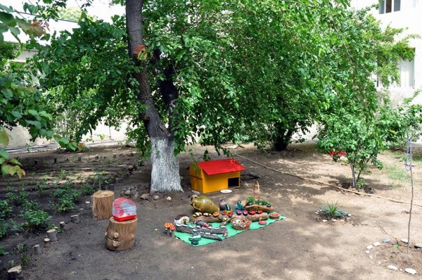 Sumqayıtda "Canlı guşə"dən FOTOREPORTAJ