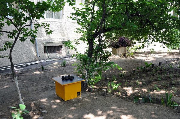Sumqayıtda "Canlı guşə"dən FOTOREPORTAJ