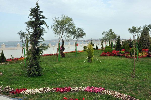 Sumqayıtın yeni bulvarı bu gün - FOTOREPORTAJ