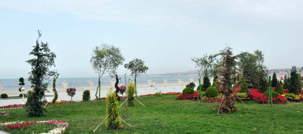 Sumqayıtın yeni bulvarı bu gün - FOTOREPORTAJ