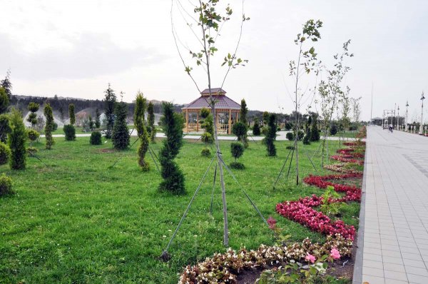 Sumqayıtın yeni bulvarı bu gün - FOTOREPORTAJ