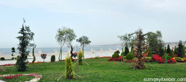 Sumqayıtın yeni bulvarı bu gün - FOTOREPORTAJ