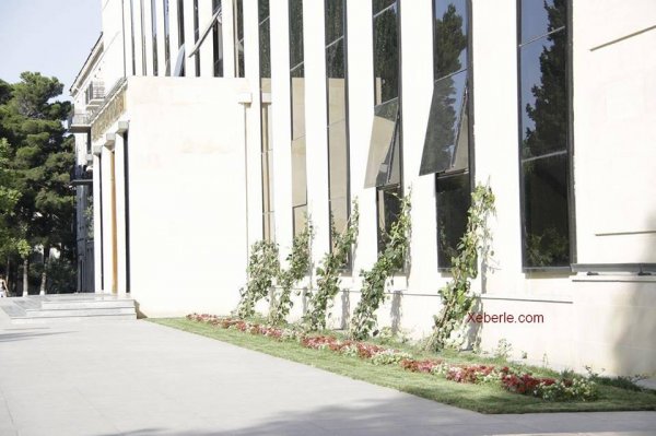 Sumqayıtda inqilabi addım: icra hakimiyyətinin binası yenidən yaşıl örtüyə bürünəcək – FOTOLAR