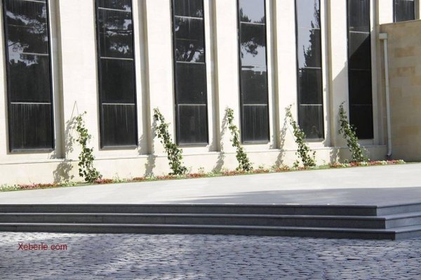 Sumqayıtda inqilabi addım: icra hakimiyyətinin binası yenidən yaşıl örtüyə bürünəcək – FOTOLAR