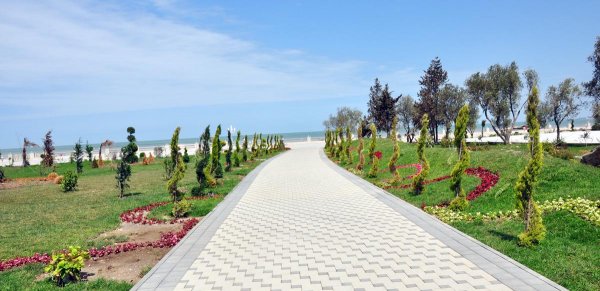 Ölkənin tanınmış həkimləri Sumqayıt bulvarında – FOTOLAR Ölkənin tanınmış həkimləri Sumqayıt bulvarında – FOTOLAR
