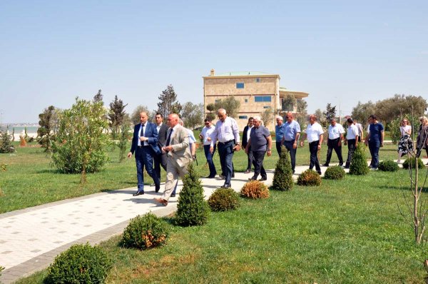 Ölkənin tanınmış həkimləri Sumqayıt bulvarında – FOTOLAR Ölkənin tanınmış həkimləri Sumqayıt bulvarında – FOTOLAR