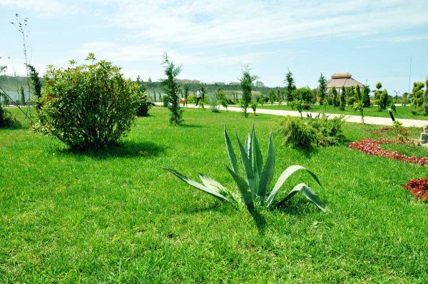 Ölkənin tanınmış həkimləri Sumqayıt bulvarında – FOTOLAR Ölkənin tanınmış həkimləri Sumqayıt bulvarında – FOTOLAR