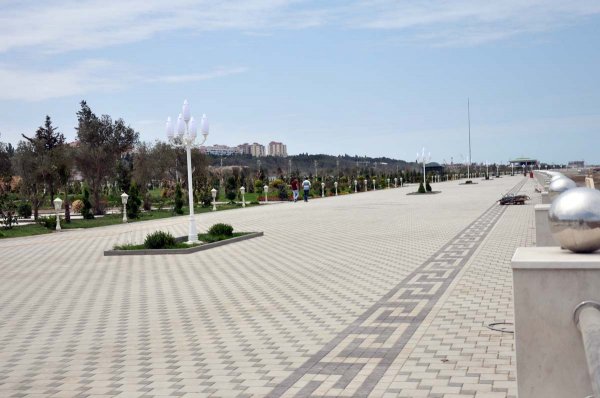 Ölkənin tanınmış həkimləri Sumqayıt bulvarında – FOTOLAR Ölkənin tanınmış həkimləri Sumqayıt bulvarında – FOTOLAR