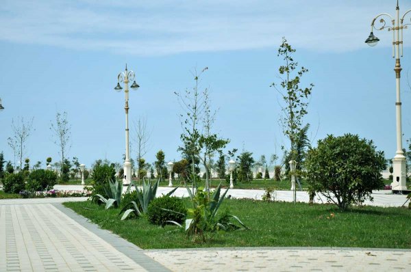Ölkənin tanınmış həkimləri Sumqayıt bulvarında – FOTOLAR Ölkənin tanınmış həkimləri Sumqayıt bulvarında – FOTOLAR