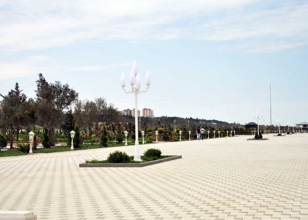 Ölkənin tanınmış həkimləri Sumqayıt bulvarında – FOTOLAR Ölkənin tanınmış həkimləri Sumqayıt bulvarında – FOTOLAR