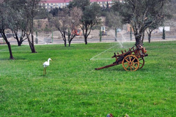 Sumqayıtda katerlərlə Xəzər dənizindəki adalara səyahət etmək olacaq - VİDEO +FOTOREPORTAJ