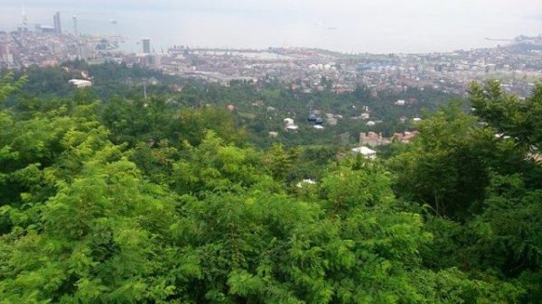 Bakıdan Batumiyə gedən ikimərtəbəli avtobusun xoşagəlməz OLAYLARI - FOTO