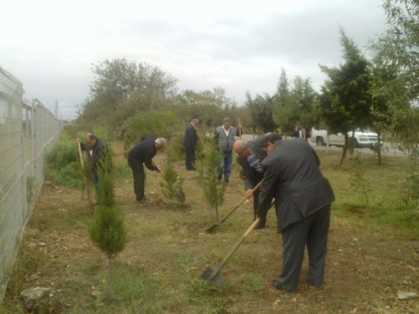 Sumqayıtda ilin ilk payız iməciliyi: 300 ədəd müxtəlif növ ağac əkildi -  FOTOLAR