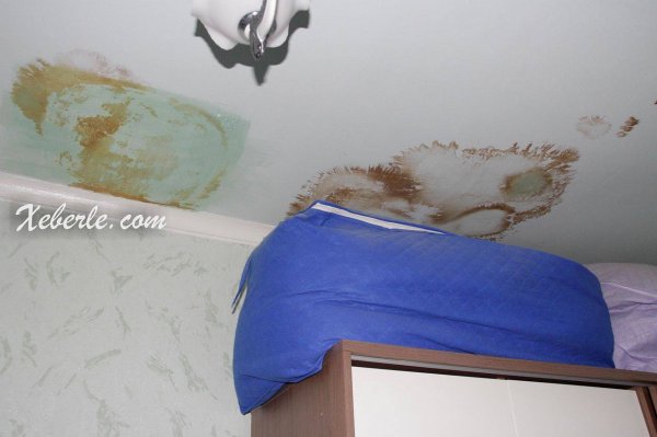 Sumqayıt İnşaatçılar yaşayış massivinin sakinləri Zakir Fərəcova müraciət ediblər - VİDEO+FOTO