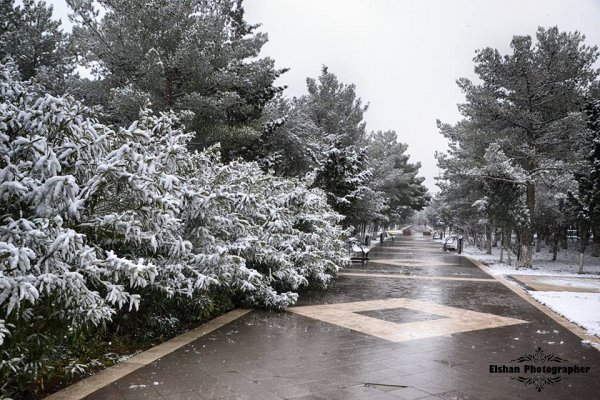 Qarlı Sumqayıt – FOTOLAR