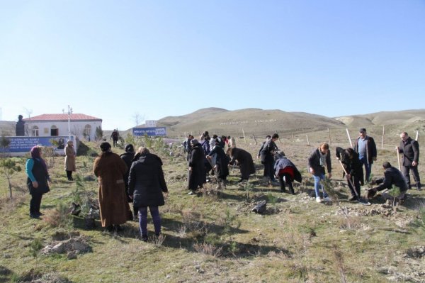 Mikayıl Müşfiqin xatirə muzeyinin ətrafında 200-dən çox ağac əkilib