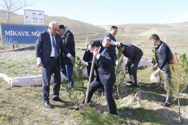 Mədəniyyət işçiləri ağac əkdi - Xızıda (FOTOLAR) Mədəniyyət işçiləri ağac əkdi - Xızıda (FOTOLAR)