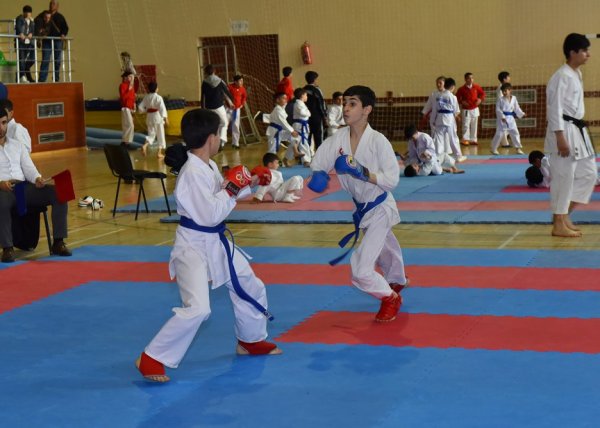 Sumqayıtda Milli Qəhrəman Albert Aqarunovun xatirəsinə həsr olunan Karate–Do üzrə V açıq çempionat keçirilib VİDEO Sumqayıtda Milli Qəhrəman Albert Aqarunovun xatirəsinə həsr olunan Karate–Do üzrə V açıq çempionat keçirilib VİDEO