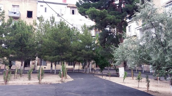 Sumqayıtda məhəllədaxili yollar asfaltlanır – FOTOLAR