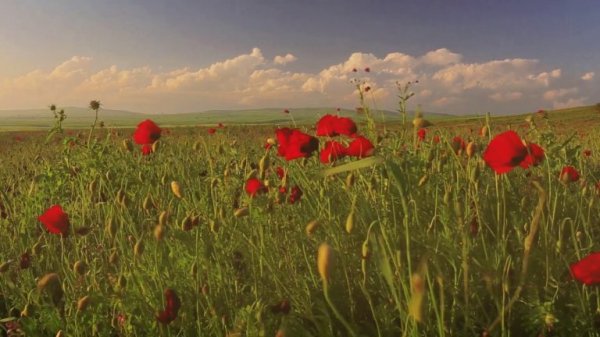 Necə olub ki, bu kəndləri unutmuşuq? – Azərbaycanın gizli cənnətləri Necə olub ki, bu kəndləri unutmuşuq? – Azərbaycanın gizli cənnətləri