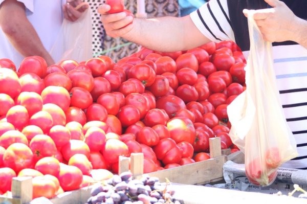 Sumqayıtda bazar, market və yarmarka qiymətləri arasında hansı fərqlər var? – REPORTAJ (FOTOLAR)