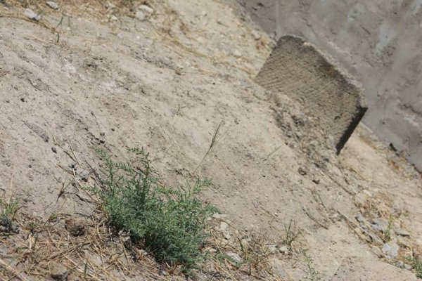 Sumqayıtın su tapılmayan, skamyasız, yolu bərbad, çirkli qəbiristanlığı - REPORTAJ - FOTOLAR