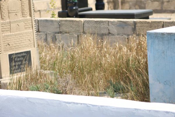 Sumqayıtın su tapılmayan, skamyasız, yolu bərbad, çirkli qəbiristanlığı - REPORTAJ - FOTOLAR