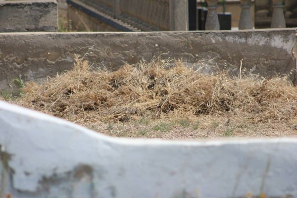 Sumqayıtın su tapılmayan, skamyasız, yolu bərbad, çirkli qəbiristanlığı - REPORTAJ - FOTOLAR