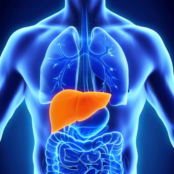 Hepatitə yoluxmamaq üçün hansı qaydaları bilməliyik? - AQS Dental tövsiyə edir Hepatitə yoluxmamaq üçün hansı qaydaları bilməliyik? - AQS Dental tövsiyə edir