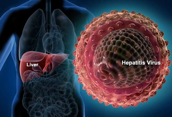 Hepatitə yoluxmamaq üçün hansı qaydaları bilməliyik? - AQS Dental tövsiyə edir Hepatitə yoluxmamaq üçün hansı qaydaları bilməliyik? - AQS Dental tövsiyə edir