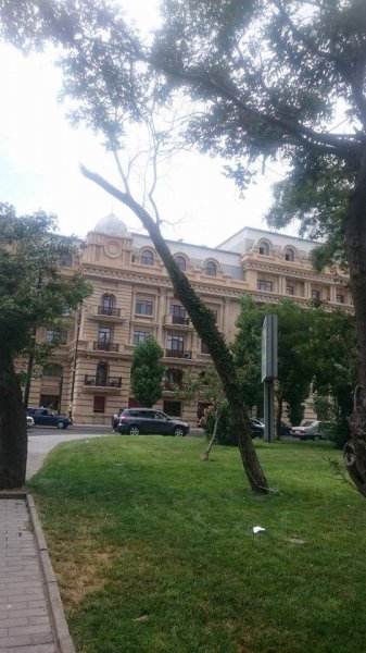  Dədə Qorqud parkındakı ağaclar sürətlə quruyur - FOTOLAR