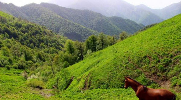Azərbaycanın kəşf edilməmiş gözəlliklərindən: Oğuz Azərbaycanın kəşf edilməmiş gözəlliklərindən: Oğuz