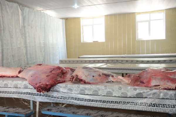 500 aztəminatlı ailəyə qurban payı verildi - FOTO 500 aztəminatlı ailəyə qurban payı verildi - FOTO