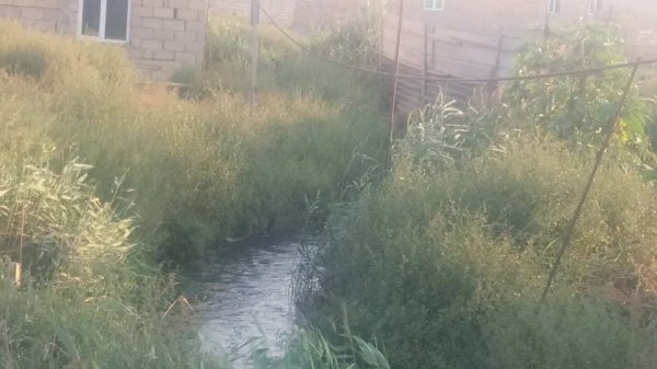 Sumqayıtda kanalizasiya suları birbaşa dənizə axıdılır? - ARAŞDIRMA