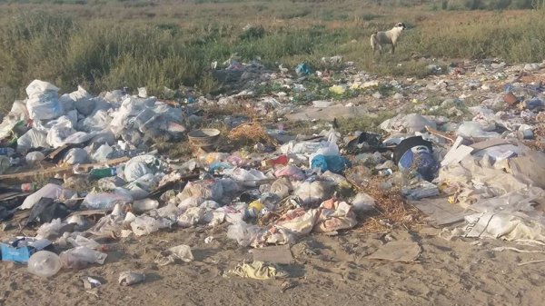 Sumqayıtda kanalizasiya suları birbaşa dənizə axıdılır? - ARAŞDIRMA