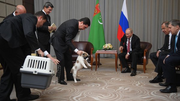 Türkmənistan prezidenti Putinə it bağışladı - FOTOLAR