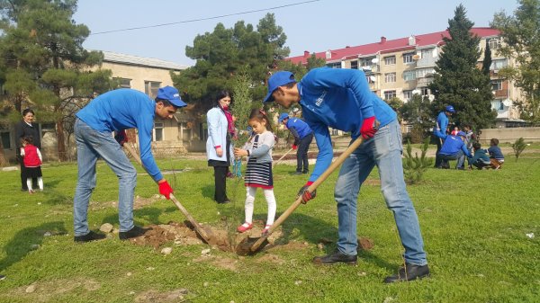 RİİB-in könüllülük proqramı çərçivəsində ilk ay üzrə fəaliyyətə yekun vurulub - FOTOLAR RİİB-in könüllülük proqramı çərçivəsində ilk ay üzrə fəaliyyətə yekun vurulub - FOTOLAR