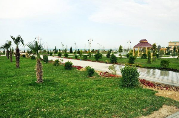68 yaşlı Sumqayıt 68 yaşlı Sumqayıt