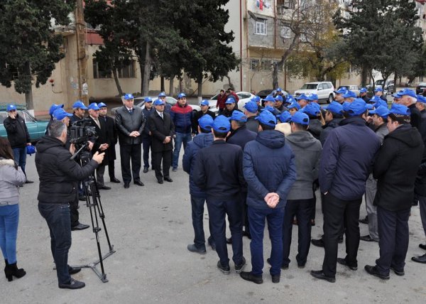 Sumqayıtda növbəti ağacəkmə aksiyası keçirildi – FOTOLAR
