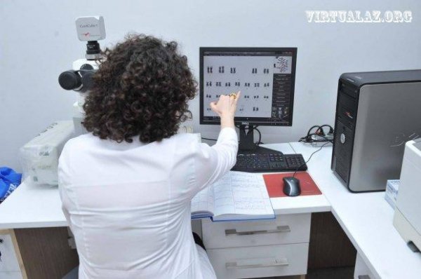 Azərbaycanda ailələri dağıdan, zorakılıqlara səbəb olan fitnə... - FOTO